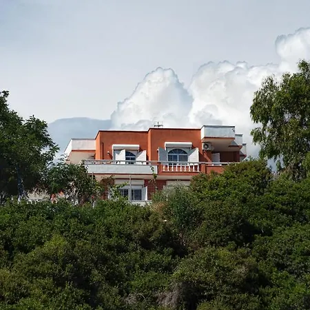 Gonates 리메나리아