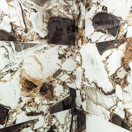 Gonates 리메나리아