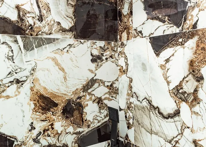 Gonates 利迈纳里亚